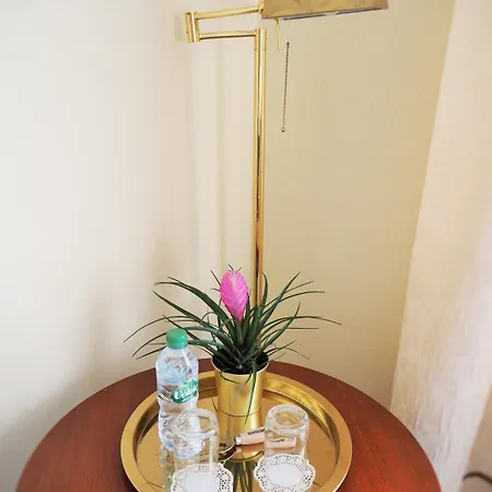 酒店 格拉酒店 普福尔茨海姆